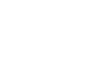 autoinsat